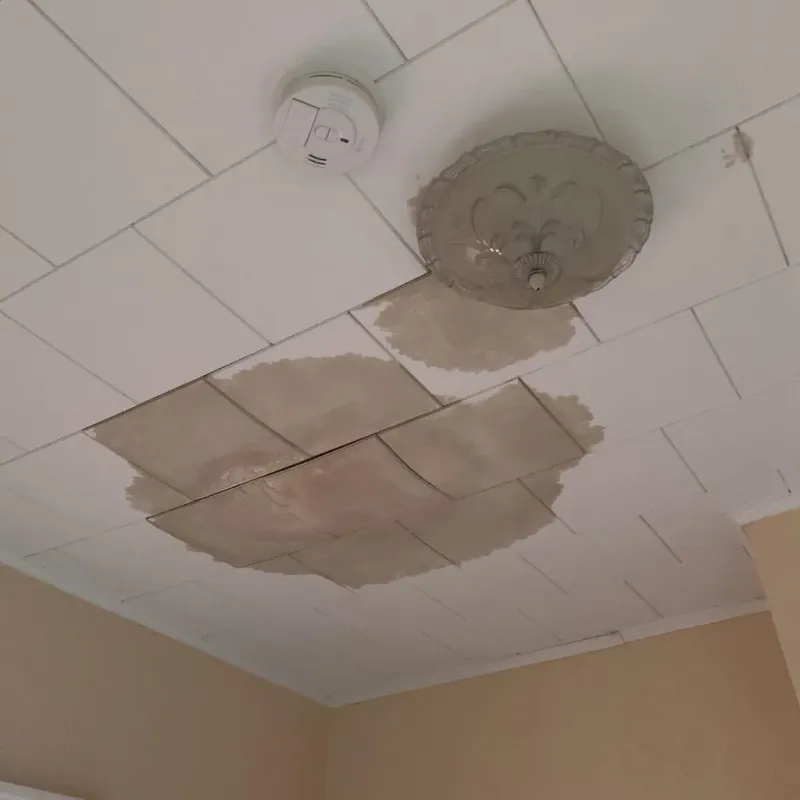 Ceiling Water Damage Repair in Mason, OH