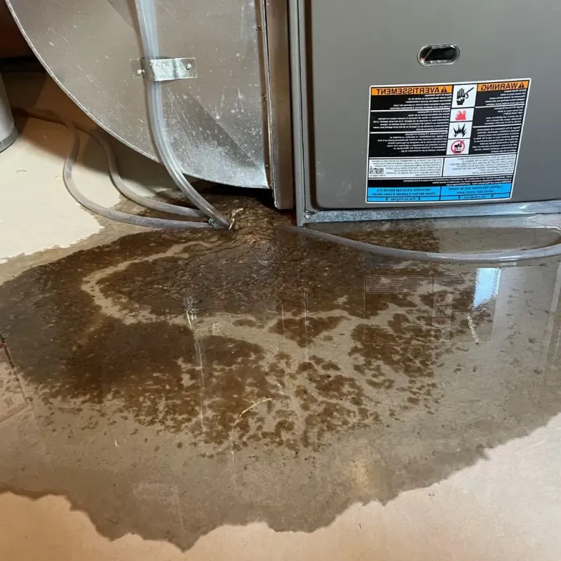Pipe Burst and Leak Restoration in Mason, OH